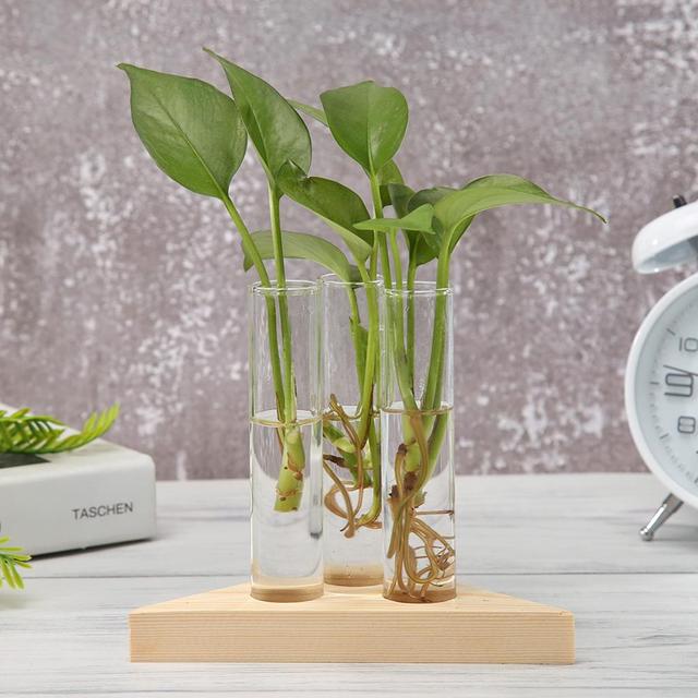 Transparent Glass Vase Wood Frame Iron Art Terrarium Bonsai Table Ornaments Glass and Wood Vase Planter Terrarium Table Desktop