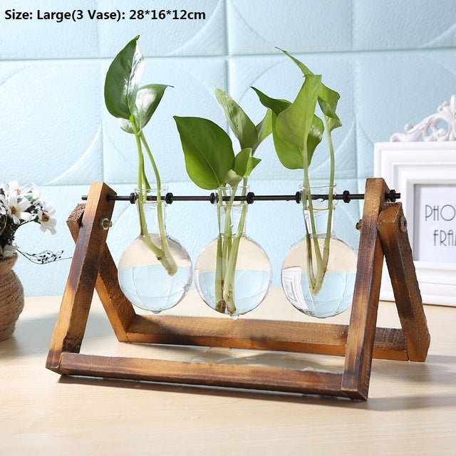 Transparent Glass Vase Wood Frame Iron Art Terrarium Bonsai Table Ornaments Glass and Wood Vase Planter Terrarium Table Desktop