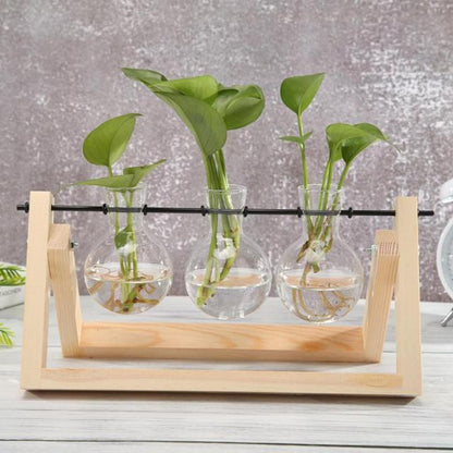 Transparent Glass Vase Wood Frame Iron Art Terrarium Bonsai Table Ornaments Glass and Wood Vase Planter Terrarium Table Desktop