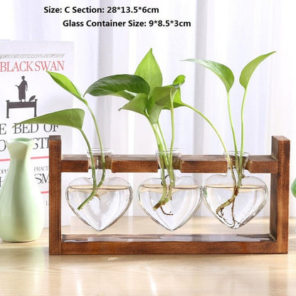 Transparent Glass Vase Wood Frame Iron Art Terrarium Bonsai Table Ornaments Glass and Wood Vase Planter Terrarium Table Desktop